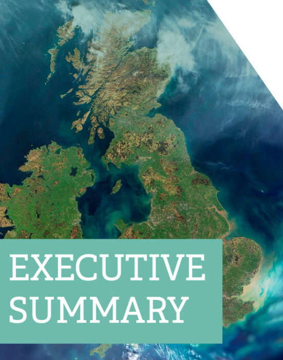 Executive summary - cover